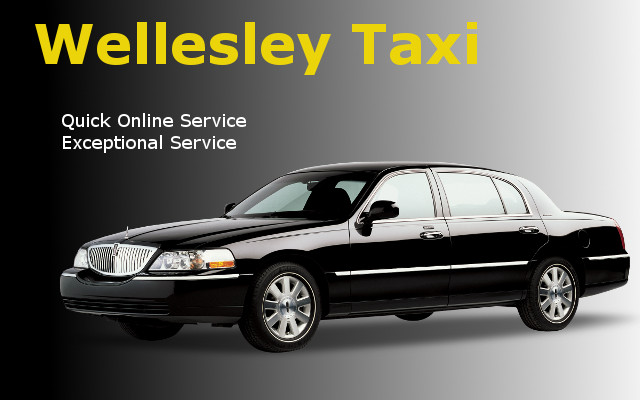 logan airport taxi and car service